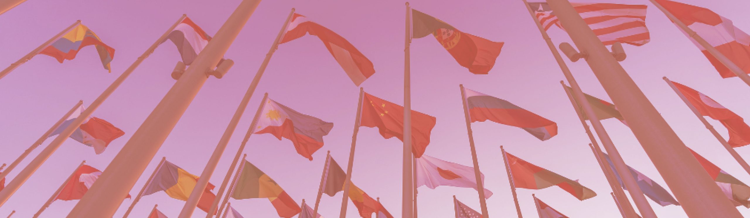 world flags on flag poles (foreign affairs concept)